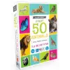 Blue Focus İlk 50 Hayvan - Akıllı Eğitim Kartları