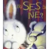 Bu Ses de Ne?