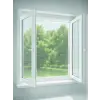ÇİFT KANATLI SİNEKLİK