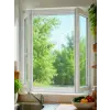ÇİFT KANATLI SİNEKLİK