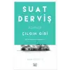 Çılgın Gibi