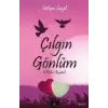 Çılgın Gönlüm