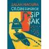 Çılgın Süpürge Şipşak