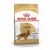 Cocker Spaniel Adult Yetişkin Köpek Maması 3 Kg