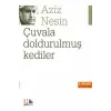 Çuvala Doldurulmuş Kediler