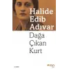 Dağa Çıkan Kurt
