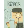 Değişimsever Bay Flux