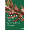 Düğün - Bir Alman Dosta Mektuplar