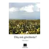Düş mü Gördünüz?