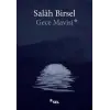 Gece Mavisi