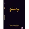 Güney