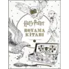 Harry Potter Boyama Kitabı