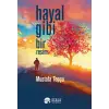 Hayal Gibi Bir Resim