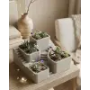 KAKTÜS SAKSI SETİ GRİ