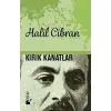 Kırık Kanatlar