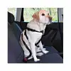 Köpek Emniyet Kemeri Medium 50-70 Cm