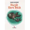 Küçük Kara Balık
