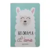 Lama Notebook Su Yeşili - Defter