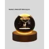 LED Işıklı Geyikli Kristal Küre Ahşap Standlı Modern Dekor Lamba