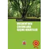 Mesneviden Çocuklara Seçme Hikayeler