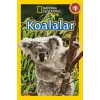 National Geographic Kids - Koalalar