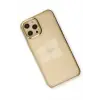Newface iPhone 12 Pro Max Kılıf Element Silikon - Gold