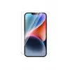 Newface Oppo Reno 4 Lite Pasifik Cam Ekran Koruyucu