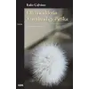 Örümceklerin Yuvalandığı Patika