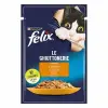 Pouch Tavuklu Yetişkin Kedi Konservesi 85 Gr