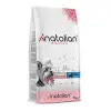 Premium Somonlu Mini Irk Yetişkin Köpek Maması 2 Kg