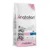 Premium Tavuklu Yavru Kedi Maması 2 Kg