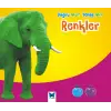 Renkler / Doğru mu Yanlış mı?