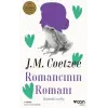 Romancının Romanı