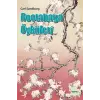 Rootabaga Öyküleri