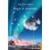 Rüzgar ile Karahindiba
