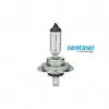 Sentinel H7 Halojen Far Ampülü 12 Volt 55Watt