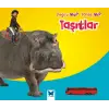 Taşıtlar / Doğru mu? Yanlış mı?
