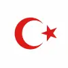 Türk Bayrağı Oto Sticker Kırmızı 23x17 cm