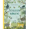 Türlerin Kökeni