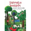 Yaprağın Renkleri