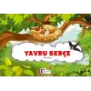 Yavru Serçe