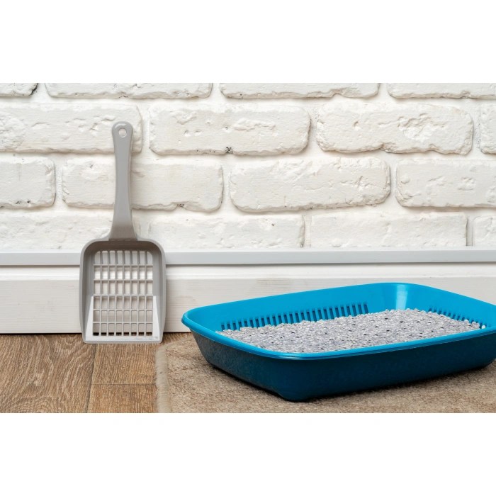 Active Control Plus Aktif Karbonlu Topaklanan Koku Hapseden Tozsuz 8 Lt Kedi Kumu