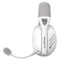 RAMPAGE CRACK 2 BEYAZ WİRELESS 2.4G+ BLUETOOTH MİKROFONLU OYUNCU KULAKLIĞI