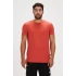 Badbear Frank Erkek Tshirt - Kiremit