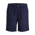 Jack&Jones 12292831 Erkek Sort - Lacivert