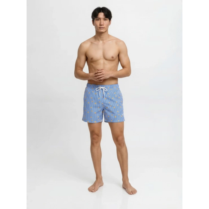 Jack&Jones 12291425 Erkek Sort - Mavi Cizgili