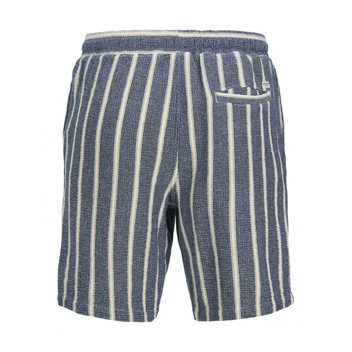 Jack&Jones Erkek Sort - Lacivert