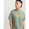 Jack&jones 12269335 0 Yaka Erkek Tshirt - Yesil