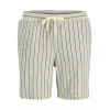 JACK&JONES 12274413 ERKEK SORT - YESIL CIZGILI