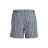 Jack&Jones 12291425 Erkek Sort - Lacivert Cizg